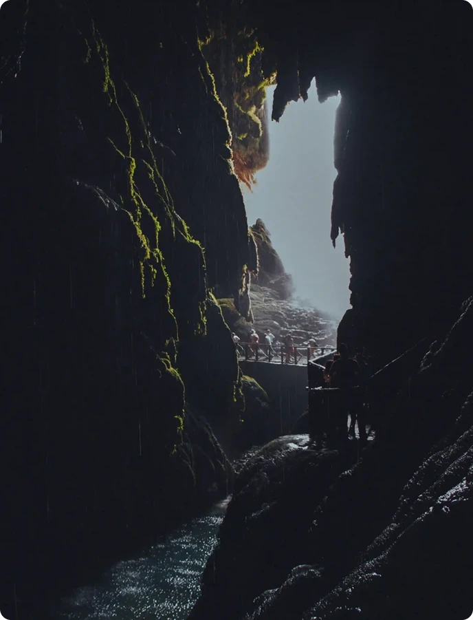 Imagem Ilustrando Terrima Soluções Ambientais 